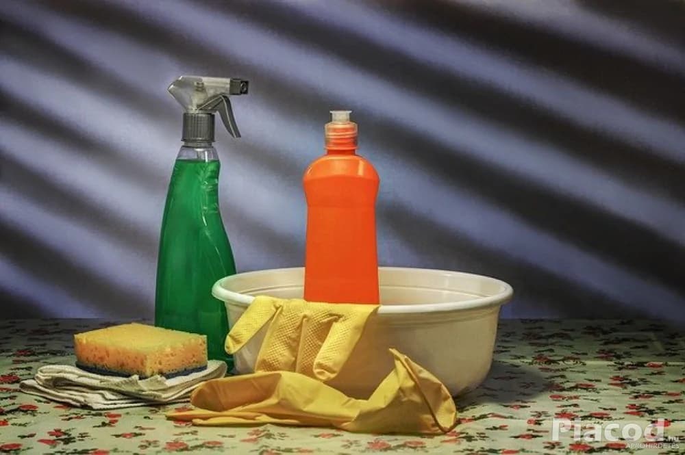 580. Háztartási kisegítő és takarító német munka