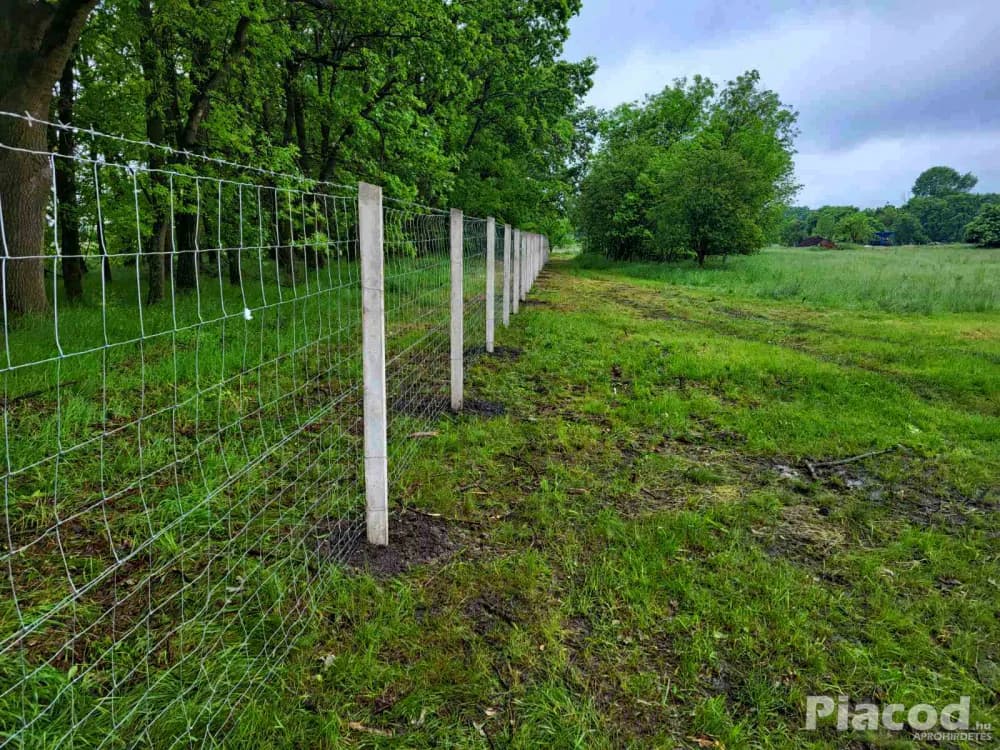 Drótfonat, vadháló, drótháló, drótkerítés, oszlop, kapu, kerítésépítés - Kép 2