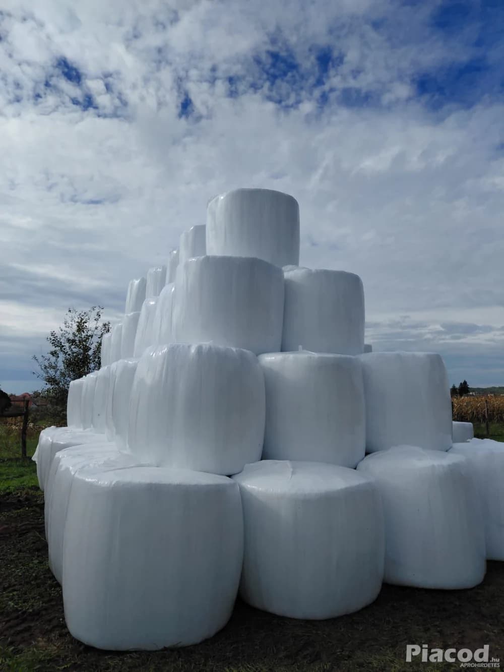 Csomagolt lucerna szenázs